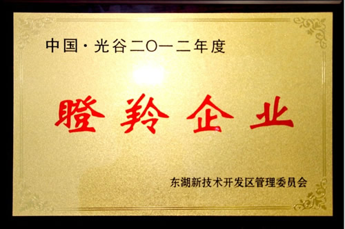 武漢新特光電成功入選2012年度瞪羚企業(yè)