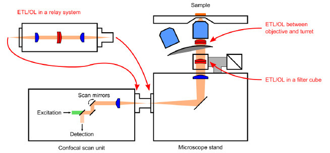 在典型的倒置激光掃描顯微鏡中實(shí)現(xiàn)基于 ETL 的聚焦的三種不同方案